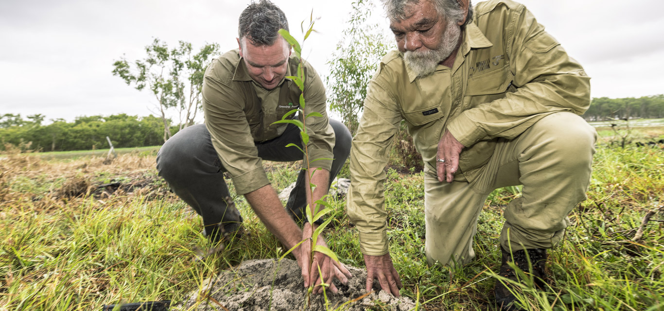 Greening Australia